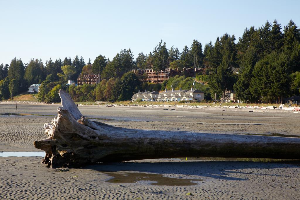 Madrona Beach Resort Parksville Exterior foto